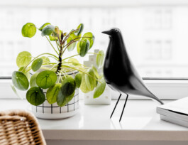 Wnętrza i Architektura