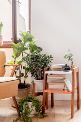 Wnętrza i Architektura