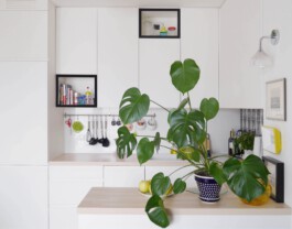 Wnętrza i Architektura